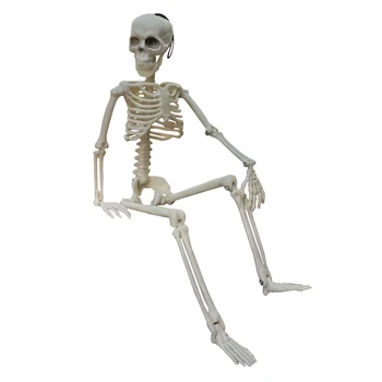 1 vnt Žmogaus kūno plastiko skeletas Studentų laboratorija modelis klaidingą rekvizitai Retro ornamentas, papuošimas 40cm aukščio Helovinas rekvizitai