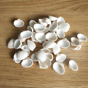 100vnt Sumaišyti Spalvinga Šukutės skylę Korpuso Gamtos Seashell nuo Jūros Paplūdimio Didelį Shell, Su Skylėmis 