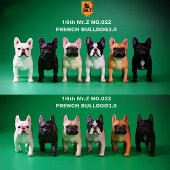 2 vnt/set 1/6 FD002 prancūzų Buldogas 3.0 Canis Familiaris Juodas šunelis Modelis F Surinkimo 6 spalvų 1/6 veiksmų pav.