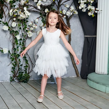 2020 Naujas Tiulio, Nėrinių, Mergaitės Suknelė Vaikai Princesė Suknelės Mergina Šalis Vestuvių Suknelė Su Varčios Kūdikių Drabužiai 1-6Y E1953