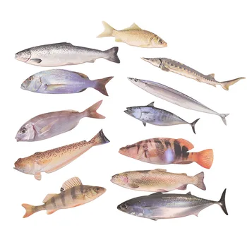 30Pcs Mielas 3D Žuvies Formos, Popierius, Raštinės Žymą Žymes Knygos Turėtojo Pranešimą Kortelės Mokykliniai Reikmenys Papelaria Studentų Dovanos
