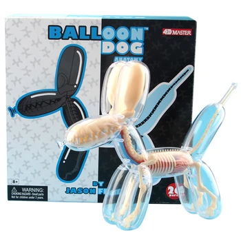 4D Didelis balionas šuo Žvalgybos Montavimas Žaislo Surinkimas žaislas Perspektyvos, Anatomijos Modelis 