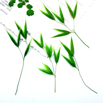 5-8cm/16pcs,Natūralių Presuotų Žalia Bambuko lapai,Amžinas Nekilnojamojo Bambuko, 