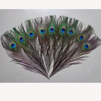 50 šaknis parduoti natūralių spalvų povo plunksna 