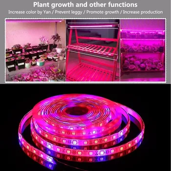 5050 Led Juostos Augalai Auga led grow light fito lempos augalams phytolamp už sodinukus fito lempa augalų Auginimo Augimą