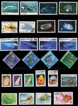 50Pcs/Daug Vandenyno Gyvūnų Antspaudas Tema Visi Skirtingi Iš įvairių Šalių, NE Kartoti Pašto ženklai su Pašto Ženklą, skirtą Rinkti