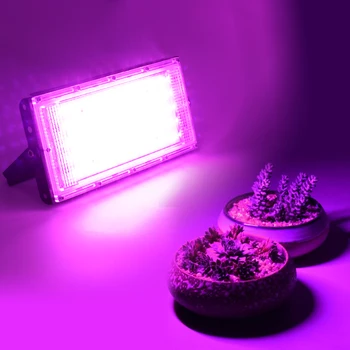 50W LED Augalų Auga Šviesos Lempos AC 220V viso Spektro LED Augalų Prožektorius Šiltnamio efektą sukeliančių Augalų Hydroponic Augalų Akiratyje