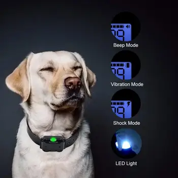 800M Naminių gyvūnų, Šunų Mokymo Apykaklės Eectric Šoko Antkaklis Šunims IP67 Nardymo Neperšlampamas Nuotolinio Valdymo Šuo Prietaiso Įkrovimo LCD Ekranas