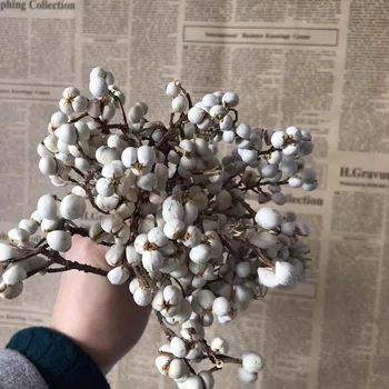 Apie 50g/10~17CM Dekoratyvinis Nekilnojamojo Mini Vaisių,Natūralių Džiovintų Mažų Gėlių Puokštė Balta Vaisių Namų Dekoro,weddinng Papuošalai