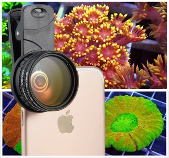 Aukštos raiškos mobiliojo telefono koralų pažvelgti į veidrodį.Foto objektyvas koralinis akvariumas .Koralų akvariumas pažvelgti į veidrodį
