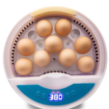 Auto Kiaušinių Inkubatorius Ūkio Brooder Hatcher Mašina Vaikas 9 Kiaušinių LED Temperatūros, Drėgmės Valdiklis Vištienos Paukščių Putpelių Inkubatorius
