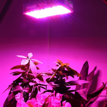 BEYLSION Visą Spektrą Augalų Auga Šviesos 3000W 600W LED Grow Light Auginimo Lempos, LED Augti Žiburiai LED vidaus Augti Palapinė