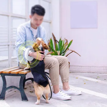 Butas Virvę Šuniui Vaikščioti Šuo Tingus Mažųjų ir Vidutinių Šunų Pet 3, Automatinis Lyno LED Teleskopinis Traukos Virvės Ryžių