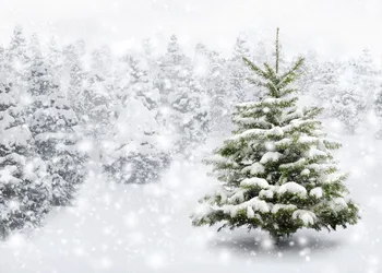 Capisco fonas fotografijai žiemos sniegas medis baltu bokeh Kalėdų fonas pobūdžio photocall prop pritaikyti originalus dizainas