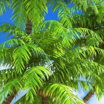 Custom 3D Foto Tapetai Beach Sea View Kokoso palmių Dekoracijos, Sienų Tapyba Gyvenamasis Kambarys su Sofa-lova, TV Foną, Freskos Sienos Popieriaus