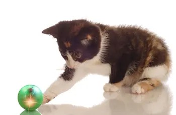 Elektroninių katė žaislas kamuolys bokštas kelio kamuolys įdomus interaktyvi katė vyriais stumti kamuolys turbo žaislas garso ir šviesos kamuolys, kačių žaislas