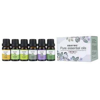 Eterinių Aliejų Aromaterapija Aliejaus aromato Difuzorius Drėkintuvas 6 Rūšių Kvepalų Levandų arbatmedžio, Rozmarino Padėti Miego