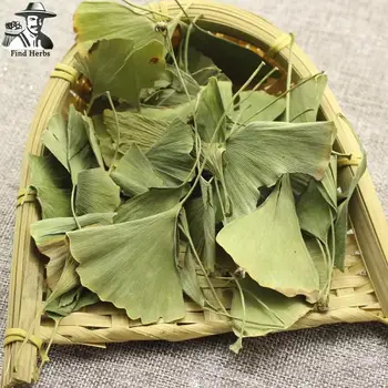 FOLIUM Ginkgo, Ginkgo Biloba Leaf, Yin Xing Ye