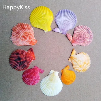 HappyKiss 30pcs /daug Natūralių kriauklių amatų korpusų klijuoti vestuves myli spalvas