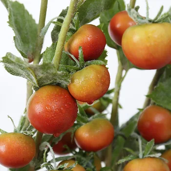 Imituojamas Mažai Pomidorų Imituojamas Uogų Kalėdų Namų Puošybai Kambarį Pateikti Žaliųjų Augalų Netikrą Gėlių Fabrikas Didmeninės