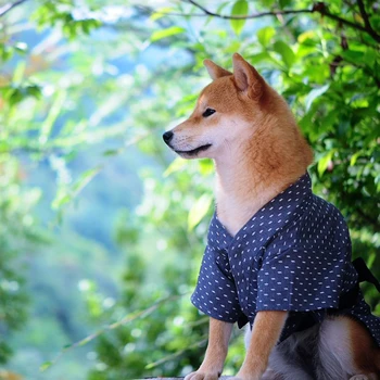 Jaukus šuo, kimono, Japoniško stiliaus šuo yukata, šunų Helovinas drabužius, katė kimono, šunų žiemos drabužių, suši kimono
