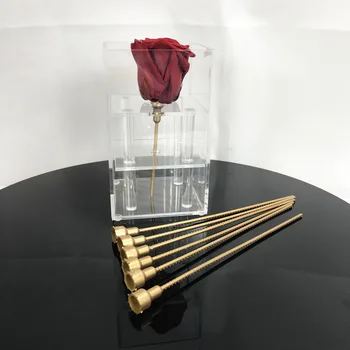 Konservuotos Gėlės Stiebo Padidėjo Gėlių Nemirtingas Rose Plastiko Kamieninių 10vnt/maišelis