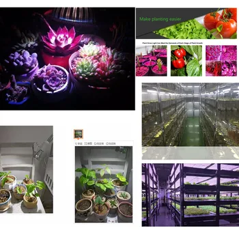 KRY CXA2590 E27 Visą Spektrą COB LED Grow Light Lempa Patalpų palapinė Augalų Augimo Hydroponics Apšvietimo Augalų Daržovių Bloom