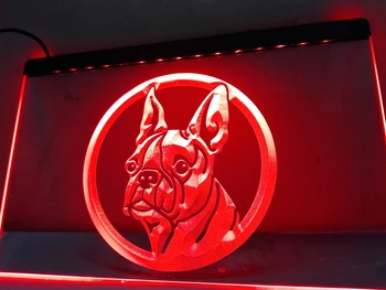 LB656 - Bostono Terjeras Šuo Pet NAUJAS LED Neon Light Pasirašyti namų dekoro amatai
