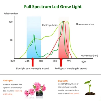 Led Grow Light Augalų Patalpų 1365LEDs Fito Lempos Visą Spektrą Fitolampy Vis Šviesa Augalams Augti Palapinę Lauke Šiltnamio efektą sukeliančių Fito
