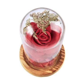 LED Rose Lempos Stiklo Kupolas Mediniais Raudona Gėlė, Styginių Šviesos Stalo Lempos Romantiška Valentino Dienos, Gimtadienio Dovana Apdaila