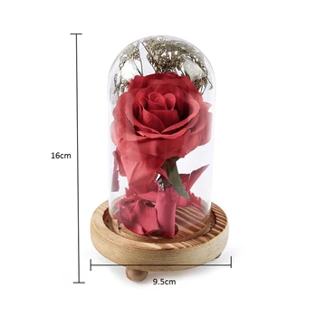 LED Rose Lempos Stiklo Kupolas Mediniais Raudona Gėlė, Styginių Šviesos Stalo Lempos Romantiška Valentino Dienos, Gimtadienio Dovana Apdaila