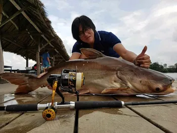 Lurekiller full metal verpimui ritės jūrinės žvejybos verpimo Grimzlė žvejybos ritės 35kg vilkite galia pagaminta japonijoje grimzlė ritės