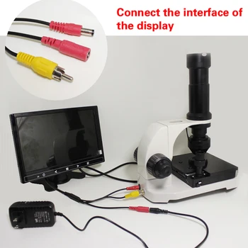 Mikrocirkuliaciją detektorius 880 spalvotas lcd nailfold kapiliarų mikrocirkuliaciją USB Skaitmeninis Mikroskopas kraujo mikrocirkuliaciją (CE)