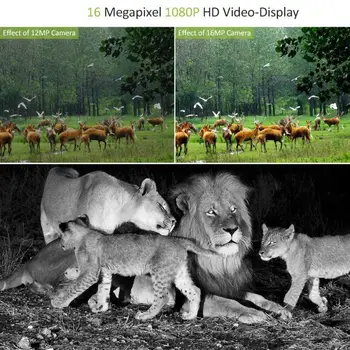 Mini 300 Medžioklės Kameros 12MP 1080P HD 32GB Medžioklės Takas Kameros Gyvūnijos Skautų Laukinių Gyvūnų Photoshooting Medžioklės Kameros