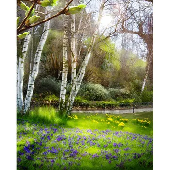 Miškai rytą Fotografijos backdrops gėlių srityje, fotografija tapetai vinilo meno portretinės Fotografijos Studija priedai