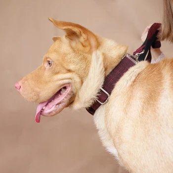 MUTTCO Individualų antkakliai šunims ir mažmeninės prekybos, gražus apykaklės Anti-lost RAUDONĄ KOSTIUMĄ, unikalaus dizaino šunų antkaklis 5 dydžių UDC006