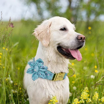 Nailono Spausdinti Šunų Antkaklis Asmeninį Šunys ID Tegus Antkakliai Mažas Vidutinis Didelis Šunys Karoliai Su Gėlių Priedai naminiams Pėsčiomis
