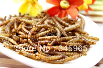 Nemokamas pristatymas Džiovinti mealworm sausas žiurkėno arowana žuvų maisto vėžlys maisto driežai pašarai, naminiai gyvūnai ,maistas, 100g