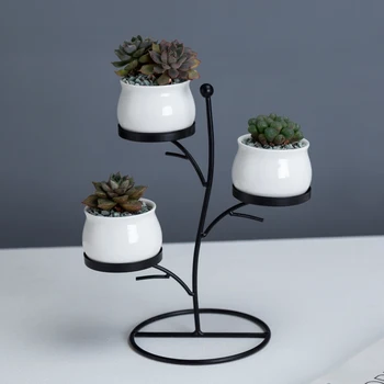 Nodic Modernus Gėlių Vazonus Stiliaus Baltos Sultingos Sodinamoji Kaktusas Keramikos Vazonus Geležies Stovo Laikiklį Sodo Darbalaukio Namų Puošybai