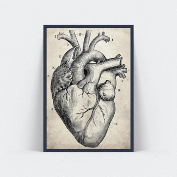 Nuotraukos Drobės Spausdintos Tapybos Ranka pieštas Žmogaus Širdies Anatomijos Eskizas Sienos Meno Plakatas Kambarį Dekoro be Rėmelio