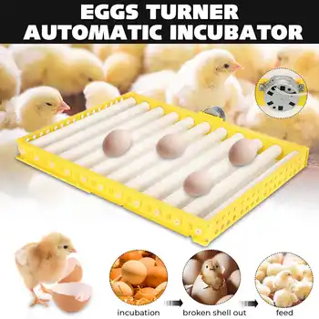 Plastikiniai Kiaušiniai Inkubatoriaus Priedai Patvarus Pasukimo Automatinė Roller Modelis Kiaušinių Turner Dėklas Inkubacijos Priedų