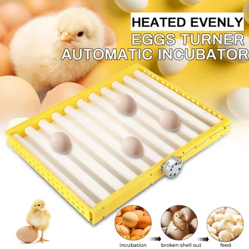 Plastikiniai Kiaušiniai Inkubatoriaus Priedai Patvarus Pasukimo Automatinė Roller Modelis Kiaušinių Turner Dėklas Inkubacijos Priedų