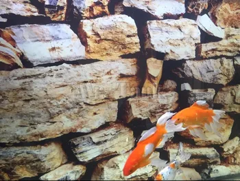 Ponas Bakas 3D Efektas Akvariumo Sienos Fone Plakatas-PVC lipnios Nuotrauką Roko Krevečių Žuvų Bakas Kraštovaizdžio Papuošalai