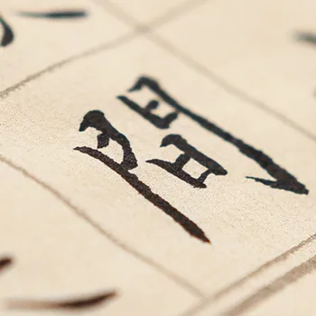 Pradedantysis Kaligrafija Ryžinis Popierius su Tinklų Kinijos Pusė Prinokusių Kaligrafija Xuan Popieriaus 100sheets/daug Papel Arroz Rijstpapier