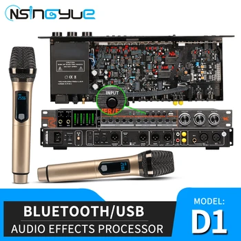 Profesionali Karaoke Skaitmeninio Garso Efektu Procesorius integruota Belaidžio Mikrofono, USB, 