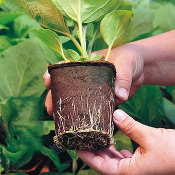 Rganic Biologiškai Popieriaus Puodą Augalų Užkandžių Daigų, Žolių Sėklos, Medelynas Cup Kit Eco-Friendly Namų Auginimui