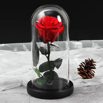Rose Stiklo Kupolas Grožio Ir Žvėrys Eternal Rose Gėlių Gėlių Dekoras Valentino Dieną Gif Gimtadienio, Kalėdų, Vestuvių Dovana
