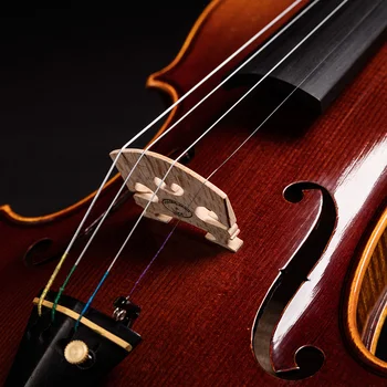 Taishi Profesinės 4/4 Smuikas A Strad modelis 4/4 Smuikas violino16-y senas Turtingas aišku!Nemokamai atveju, svogūnai, kanifolija ir pristatymas