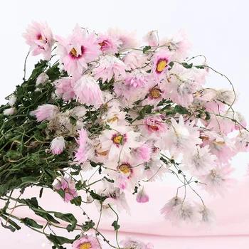 YO CHO Amžinos gėlės baltos daisy gėlių, džiovintų augalų mažų immortelle puokštės, vestuvių dekoravimas nekilnojamojo gėlių namų puošybai