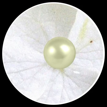 Šiuolaikinės Mados 3D Stereoskopinis Baltos Gėlės, Papuošalai, Perlų Foto Tapetai Kambarį, Namų Interjero Puošimas Sienos Freskos Tapetai